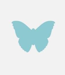 Opakowanie Dziurkacz ozdobny - Motyl 5cm MIX