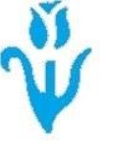 Opakowanie Dziurkacz ozdobny - Tulipan 2,5cm