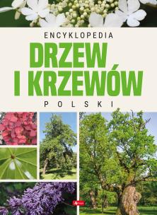 Encyklopedia drzew i krzewów Polski. Autor: Opracowanie zbiorowe. Multiszop.pl Okładka książki Encyklopedia drzew i krzewów Polski