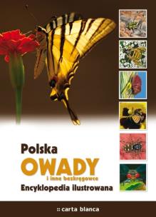 Okładka książki Encyklopedia ilustrowana - owady   CARTA BLANCA
