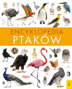 Encyklopedia ptaków. Autor: Paweł Zalewski. Multiszop.pl Okładka książki Encyklopedia ptaków