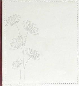 Opakowanie Fotoalbum tradycyjny szyty DBCL-30W Twosome 2