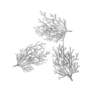 Gałązki srebrne 9cm 3szt. Wydawca: Dalprint. Multiszop.pl Opakowanie Gałązki srebrne 9cm 3szt