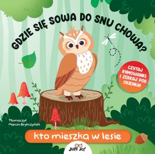 Gdzie się sowa do snu chowa? Kto mieszka w lesie. Autor: Huisman Fiona. Multiszop.pl Okładka książki Gdzie się sowa do snu chowa? Kto mieszka w lesie