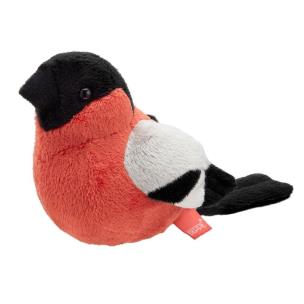 Opakowanie Gil zwyczajny 13cm