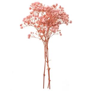 Gipsówka 4 gałązki ok. 20cm light pink. Wydawca: Dalprint. Multiszop.pl Opakowanie Gipsówka 4 gałązki ok. 20cm light pink