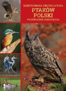 Ilustrowana encyklopedia ptaków Polski. Autor: Opracowanie zbiorowe. Multiszop.pl Okładka książki Ilustrowana encyklopedia ptaków Polski