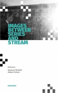 Images Between Series and Stream. Autor: Cichoń Adam, Wróbel Szymon. Multiszop.pl Okładka książki Images Between Series and Stream