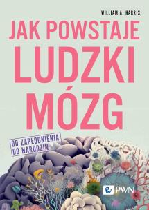 Okładka książki Jak powstaje ludzki mózg Od zapłodnienia do narodzin