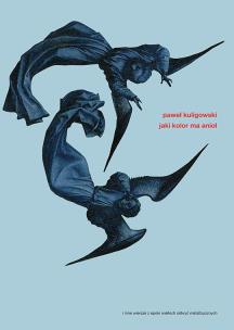 Okładka książki Jaki kolor ma anioł i inne wiersze z epoki wielkich odkryć metafizycznych