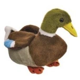 Opakowanie Kaczka krzyżówka 18cm