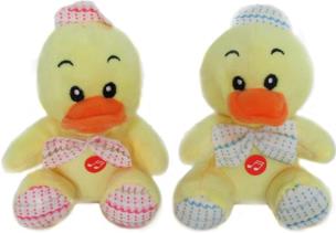 Opakowanie Kaczka z głosem 14cm MIX