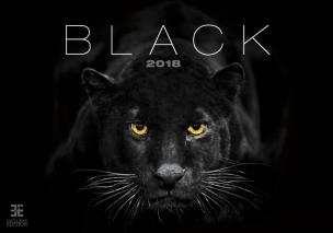Opakowanie Kalendarz 2018 czarny ex