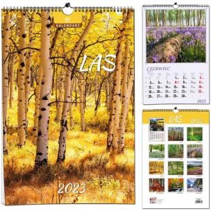 Opakowanie Kalendarz 2022 7 Plansz B3 - Las