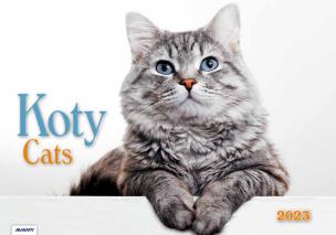 Opakowanie Kalendarz 2023 Albumowy Koty AVANTI