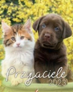 Opakowanie Kalendarz 2023 B4 Przyjaciele ARTSEZON