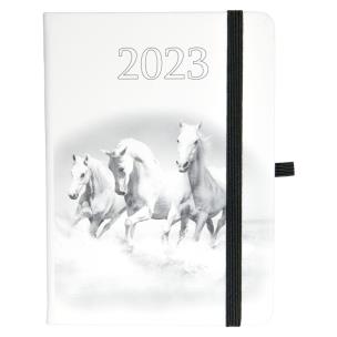 Opakowanie Kalendarz 2023 B6 tyg. Hip hop konie ELEFANT