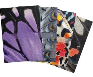 Opakowanie Kalendarz 2023 książkowy 15x21 DTP Wings mix