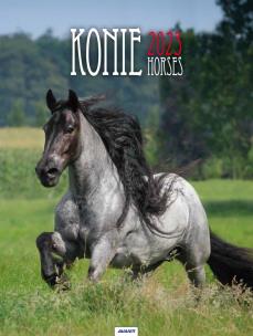 Opakowanie Kalendarz 2023 Ścienny Konie AVANTI