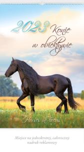 Opakowanie Kalendarz 2023 Ścienny Konie w obiektywie