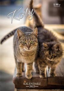 Opakowanie Kalendarz 2023 ścienny Koty