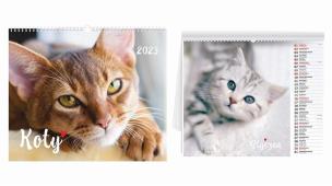 Opakowanie Kalendarz 2023 ścienny Koty