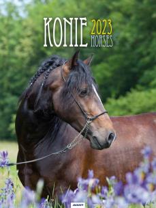 Opakowanie Kalendarz 2023 Ścienny spirala Konie AVANTI