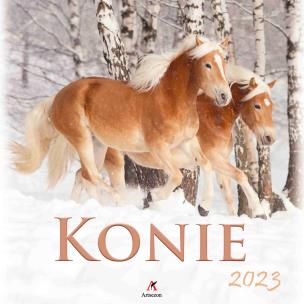 Opakowanie Kalendarz 2023 Wieloplanszowy Konie ARTSEZON