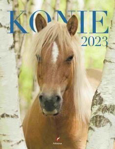 Opakowanie Kalendarz 2023 Wieloplanszowy Konie ARTSEZON