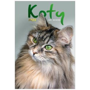 Opakowanie Kalendarz 2023 Wieloplanszowy Koty