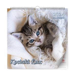 Opakowanie Kalendarz 2024 Kociaki lux ścienny