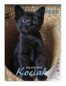 Opakowanie Kalendarz 2024 Kociaki ścienny