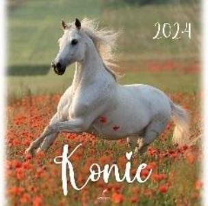 Opakowanie Kalendarz 2024 Konie