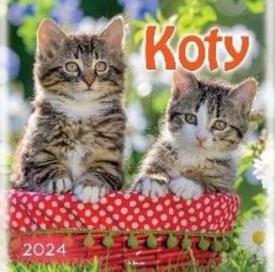 Opakowanie Kalendarz 2024 Koty
