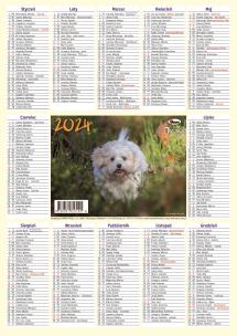 Opakowanie Kalendarz 2024 Listkowy KL ścienny