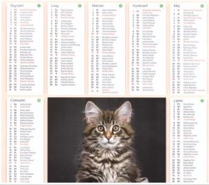 Opakowanie Kalendarz 2024 Plakietka