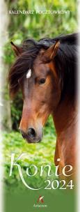 Opakowanie Kalendarz 2024 pocztówkowy Konie