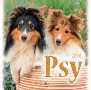 Opakowanie Kalendarz 2024 Psy