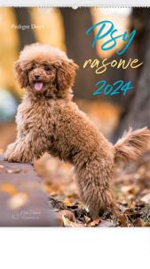 Opakowanie Kalendarz 2024 Reklamowy Psy rasowe