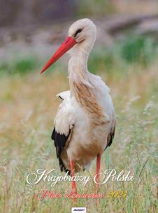 Opakowanie Kalendarz 2024 Ścienny Krajobrazy Polski