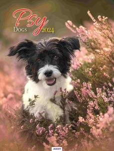 Okładka książki Kalendarz 2024 Ścienny Psy