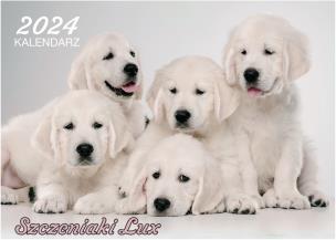 Opakowanie Kalendarz 2024 Szczeniaki lux ścienny
