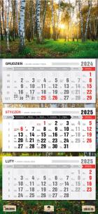 Okładka książki Kalendarz 2024 trójdzielny las KT1-V.46