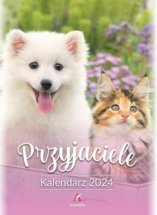 Opakowanie Kalendarz 2024 wieloplanszowy B4 Przyjaciele kolor