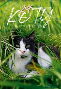 Opakowanie Kalendarz 2024 Wieloplanszowy Koty