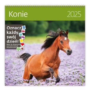 Kalendarz 2025 30x30 Konie. Wydawca: Helma 365. Multiszop.pl Opakowanie Kalendarz 2025 30x30 Konie