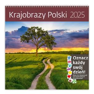 Kalendarz 2025 30x30 Psy. Wydawca: Helma 365. Multiszop.pl Opakowanie Kalendarz 2025 30x30 Psy