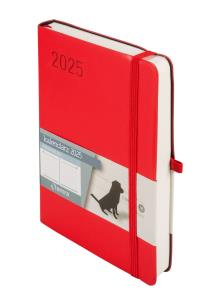 Okładka książki Kalendarz 2025 B6 Minimalizm DNS czerwony