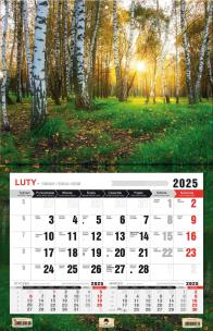 Okładka książki Kalendarz 2025 jednodzielny 3XL Las