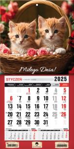 Okładka książki Kalendarz 2025 jednodzielny mini z mag. Kotki